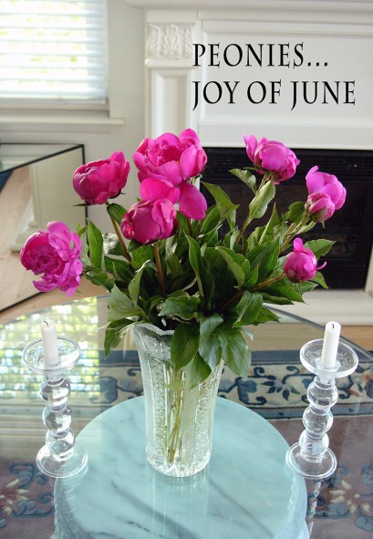 Peonies - Joy of June